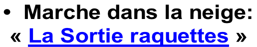 •  Marche dans la neige:  «&nbsp;La Sortie raquettes&nbsp;»